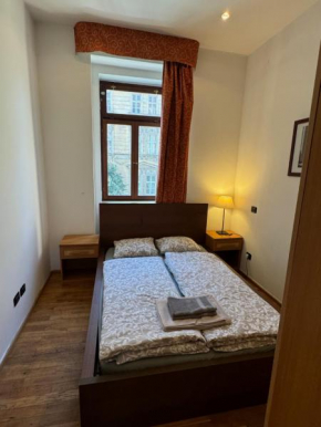 Vitkova apartment with balcony